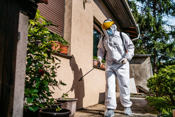 Best Wasp Removal Services  in Fort Belknap Agency, MT