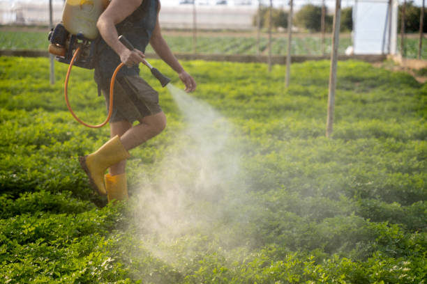 Best Mosquito Control Services  in Fort Belknap Agency, MT