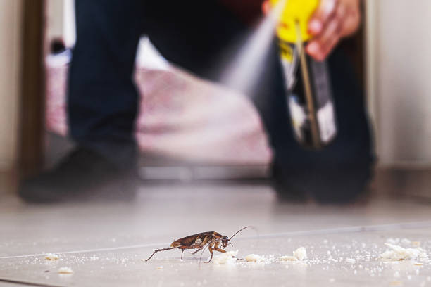 Pest Control Cost in Fort Belknap Agency, MT