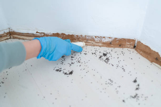 Professional Pest Control in Fort Belknap Agency, MT