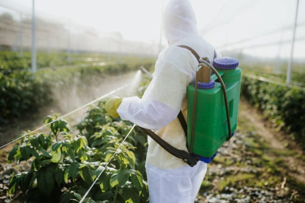 Best Termite Control Services  in Fort Belknap Agency, MT